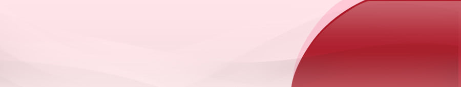 �����̔䖾�����Љ������Z���g�D�̊������ɍv�����鎖��